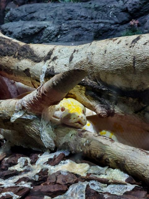 Bucharest: Reptiland Bucharest Entry Ticket - Key points to know before you go