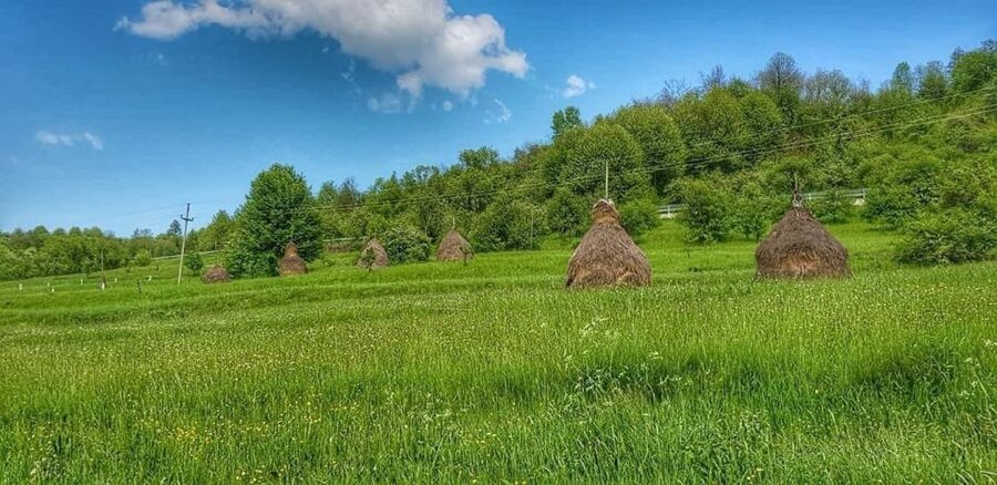 Bucharest: The Biggest Salt Mine in Europe & Wine Tasting - The road to Dealu Mare and Romania’s wine country