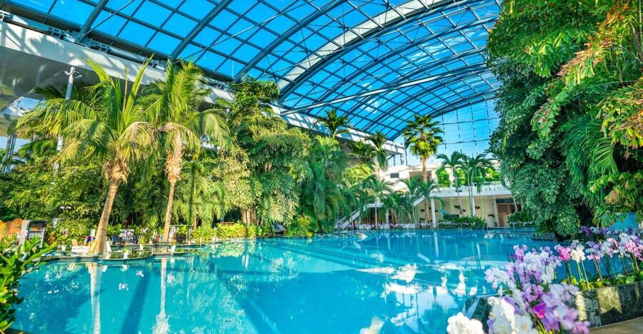 Bucharest: Therme Bucharest Entry Ticket and Transfer - The Palm, tropical calm for ages 14 and up