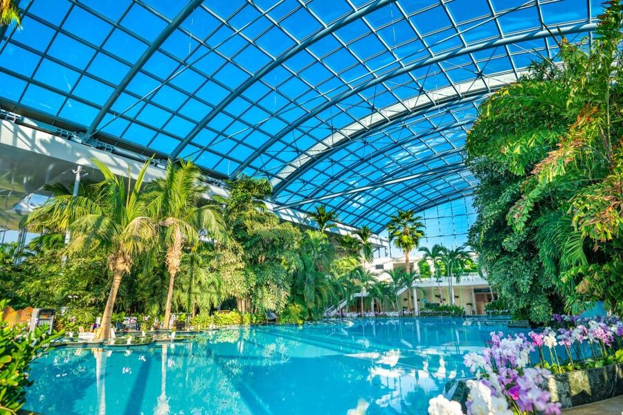 Bucharest: Therme Bucharest Entry Ticket and Transfer - Who will enjoy this Bucharest outing?