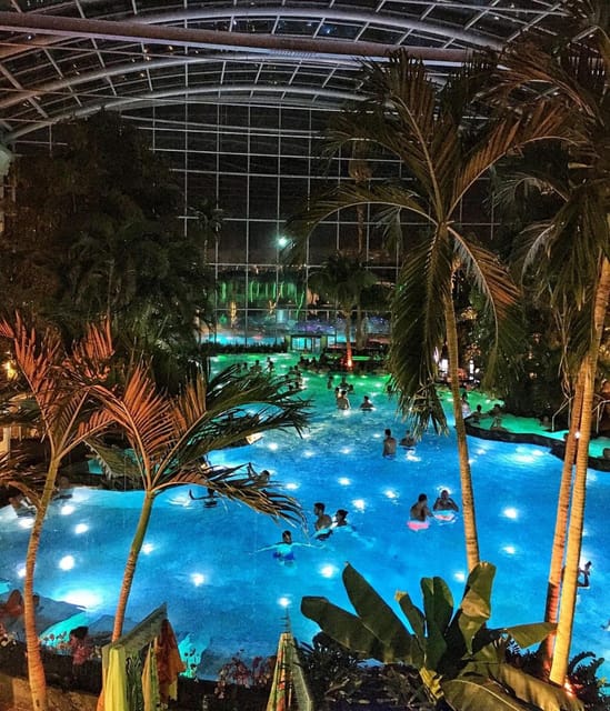 Bucharest: Therme Spa Night Experience with Transfer - The Palm area: warm water and a giant indoor garden