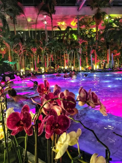 Bucharest: Therme Spa Night Experience with Transfer - What makes Therme Bucharest different