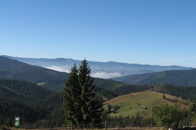 Bucovina Painted Monasteries Day Tour - Palma Pass, mountain views, and the lunch break