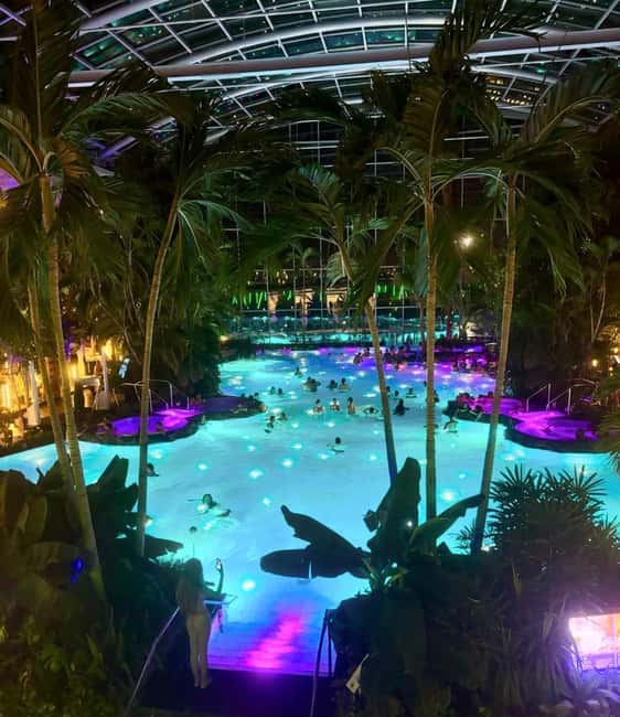 Bucuresti: Bucuresti Therme Transfer and Full-Day Access - Finding a calmer rhythm in The Palm