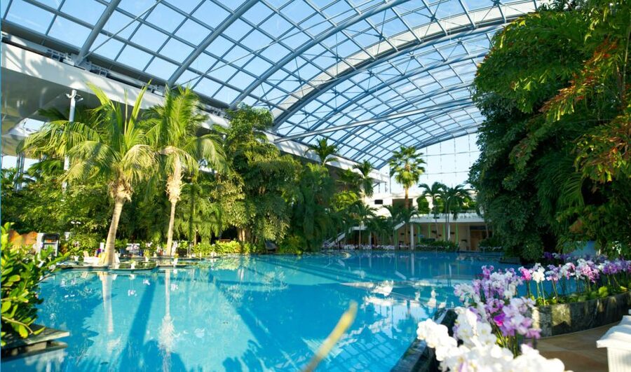 Bucuresti: Therme Bucharest Evening Entry Ticket & Transfer - Palm and Galaxy: know the difference
