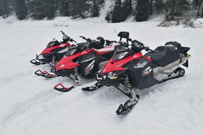 Carpathian mountains Snowmobile, ATV or Buggy tour in one day - From Bucharest to the Carpathian Mountains