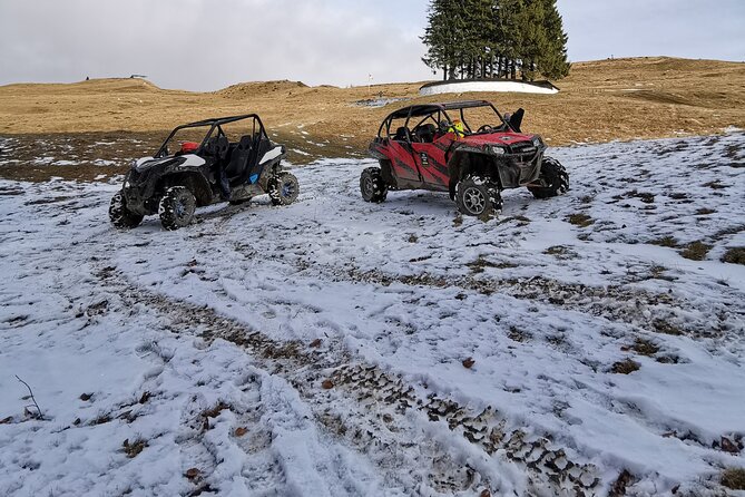 Carpathian mountains Snowmobile, ATV or Buggy tour in one day - Does the $403.34 price make sense?
