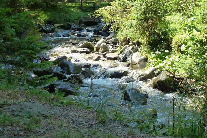 Carpathians in Romania: Bucegi Natural Park with native Spanish guide. - Reaching Vârful Bucșa