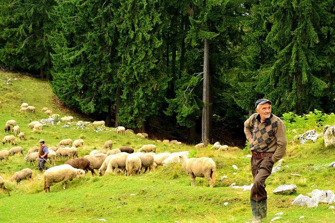 Carpathians in Romania: Piatra Craiului National Park with native Spanish guide. - Private format, timing, and practical value
