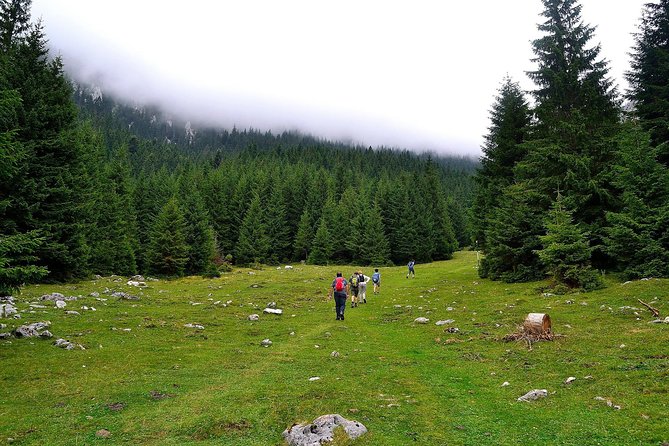 Carpathians in Romania: Piatra Craiului National Park with native Spanish guide. - Poiana Zanoaga and the return loop