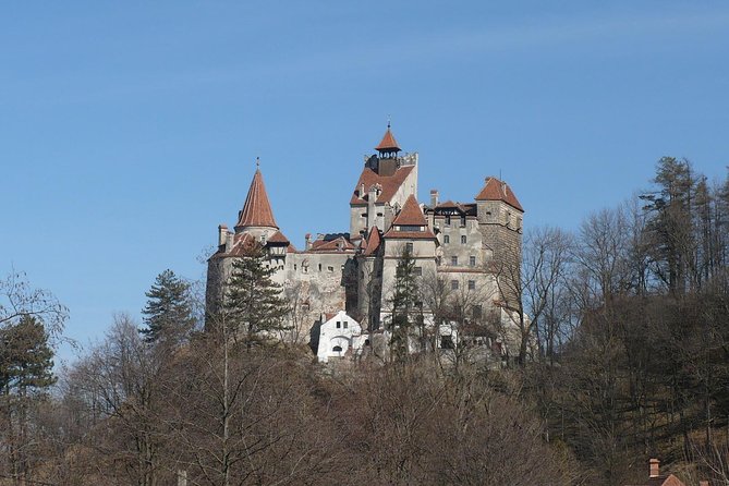 Castles Private Tour Peles - Bran - Rasnov from Brasov - The timing makes a real difference