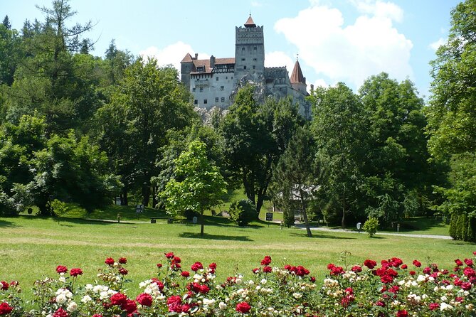 Castles Private Tour Peles - Bran - Rasnov from Brasov - Rasnov Citadel is a short stop with a wide view