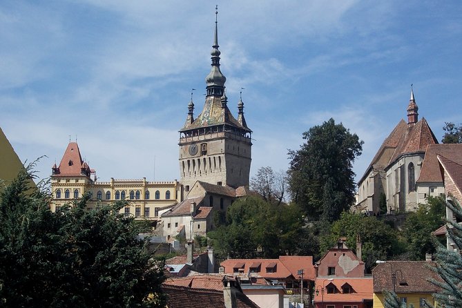 City Tour Sighisoara Legends & Landmarks A Walk Through Time - The German Cemetery and the view into local memory