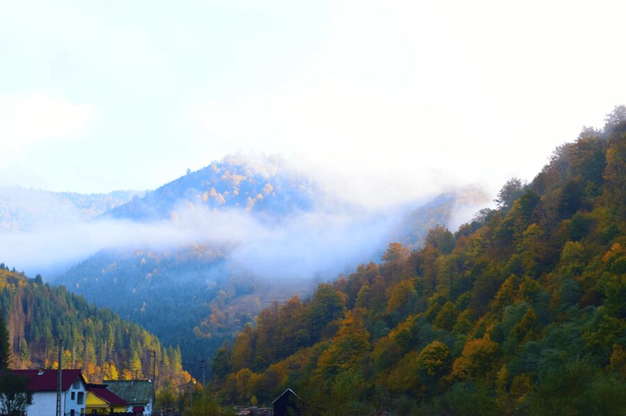 CJ03 - Day trip to Maramures Mocanita Train from Cluj Napoca - Should you book the Mocănița from Cluj?