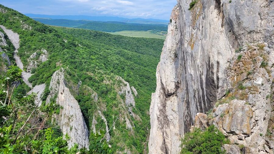 Cluj Napoca: Climbing or Hiking Experience in Turda Canion - A 40-minute trail back to the parking area