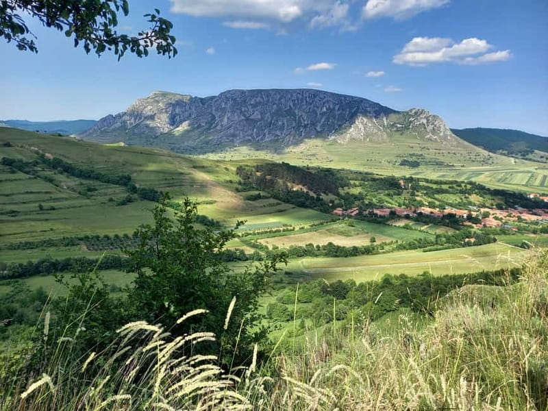Cluj: Turda Salt Mines, Rimetea, and Coltesti Fortress Tour - Should you book the Turda and Rimetea tour?