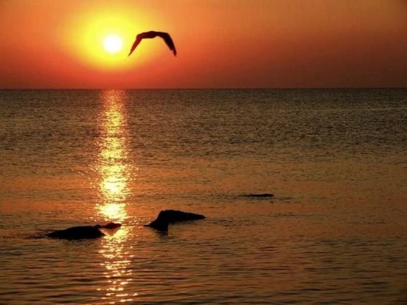 Constanta: Full Day Tour from Bucharest to the Black Sea - The long road from Bucharest to the Black Sea