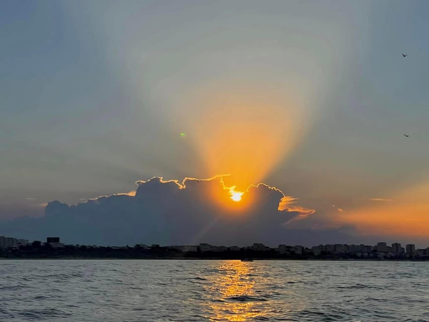 Constanta: Sailing Prince - Swimming, snorkeling, and dolphin watching