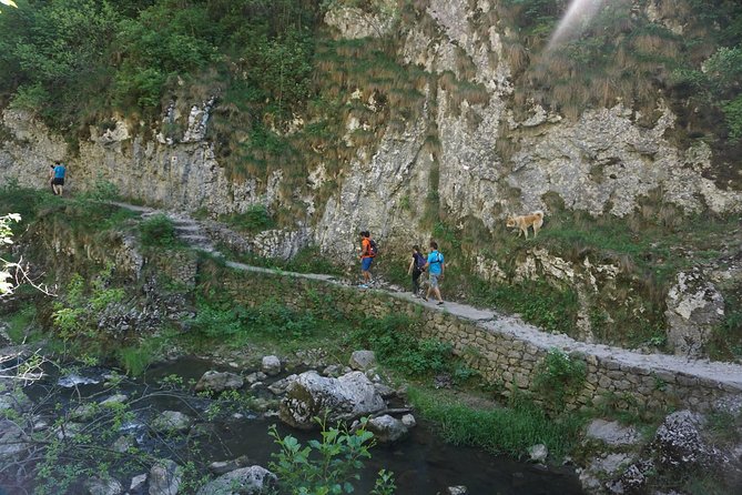 Curly Tour - Day trip from Cluj :) - The guide makes the difference