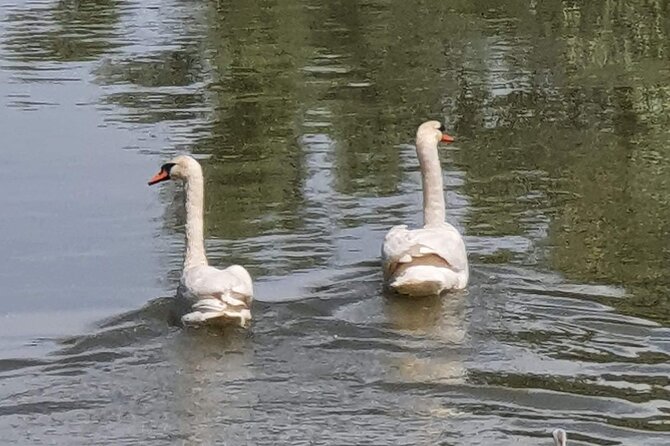 Daily Tours in the Danube Delta - Camely Cruise - Why the Danube Delta is best seen slowly
