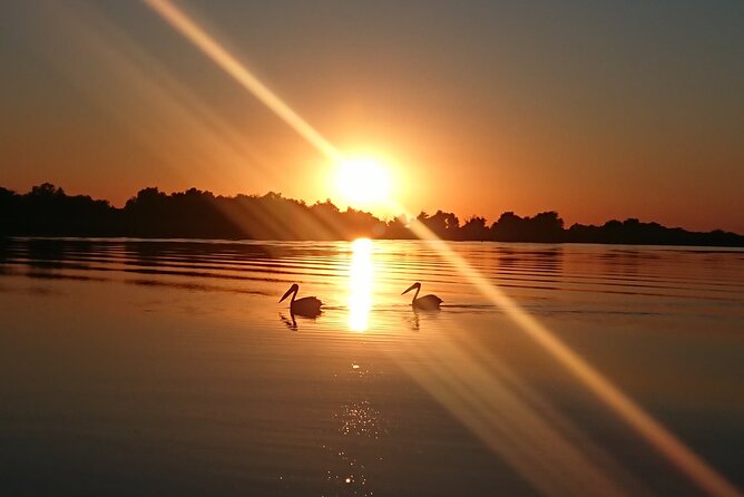 Daily Tours in the Danube Delta - Camely Cruise - Price and what you receive