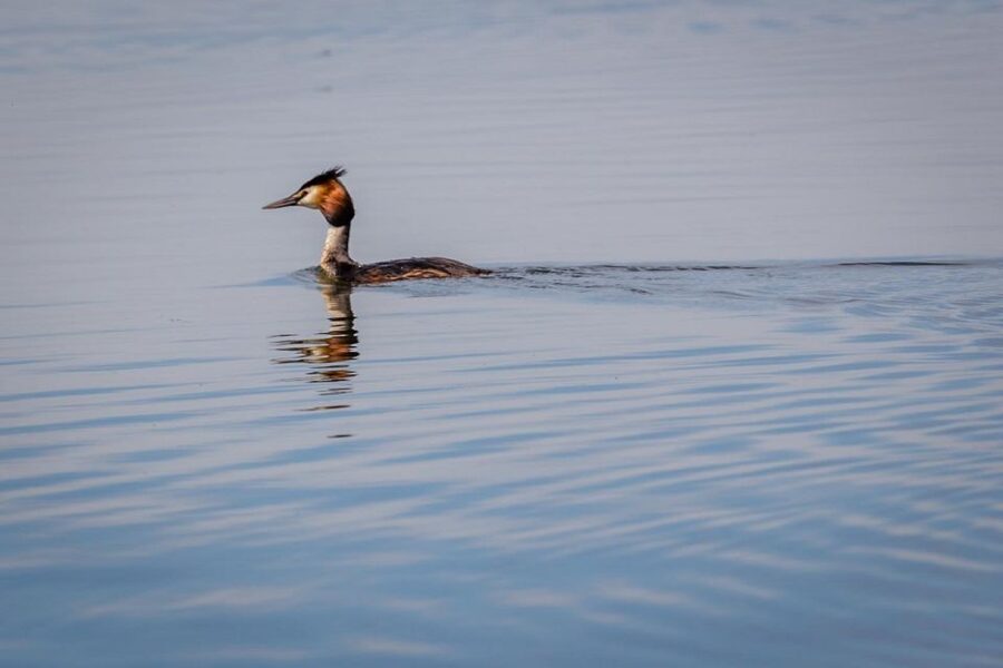 Danube Delta - 2-Day Tour from Bucharest - Why the Danube Delta deserves two days