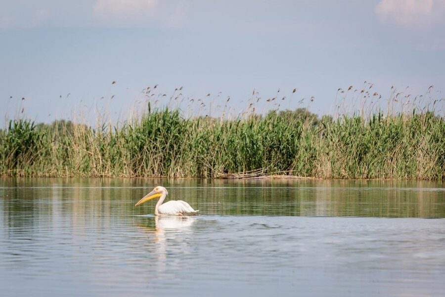 Danube Delta - 2-Day Tour from Bucharest - Who should book this two-day trip