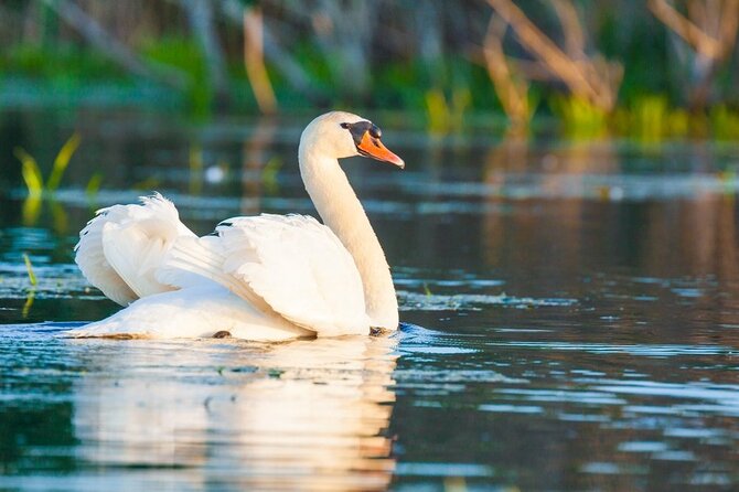 Danube Delta and Black See - 2 Days Private Tour from Bucharest - The overnight in Tulcea matters more than it sounds