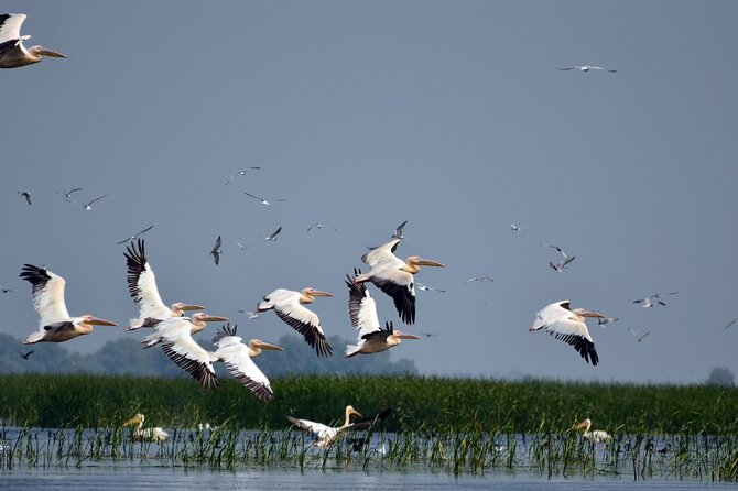 Danube Delta and Black See - 2 Days Private Tour from Bucharest - A local lunch and village life in Mila 23
