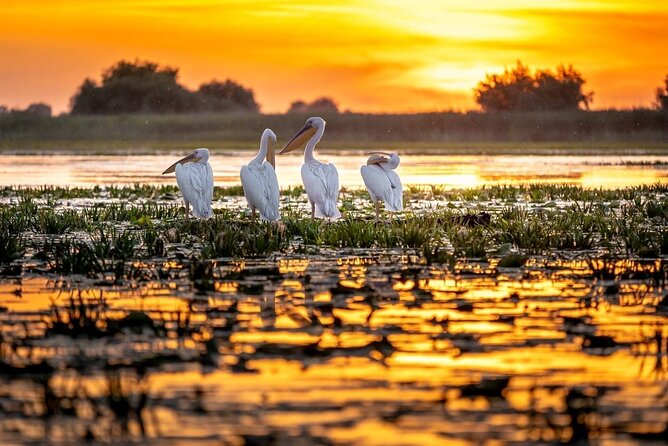Danube Delta and Black See - 2 Days Private Tour from Bucharest - Who will get the most from this tour
