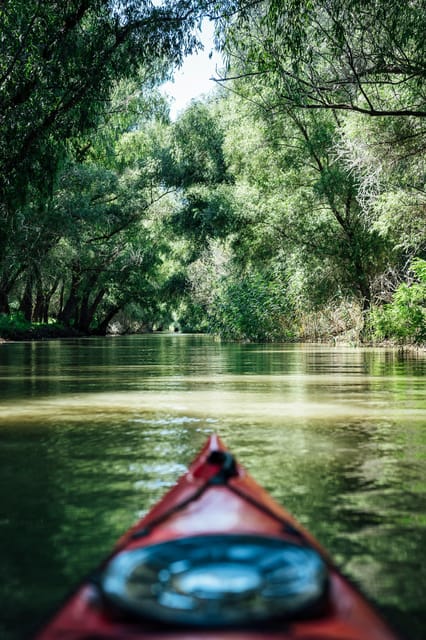 Danube Delta: Boat Tour Through the Water Lily Reserve - Practical planning for your Murighiol visit