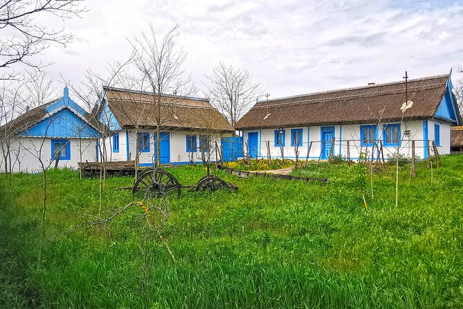 Danube Delta PRIVATE boat trip to Letea Forest (guided tour) - Why the boat ride matters more than the destination