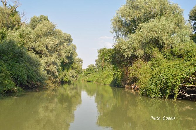 Danube Delta PRIVATE boat trip to Mila23 Village (guided tour) - Why the open boat changes the whole day