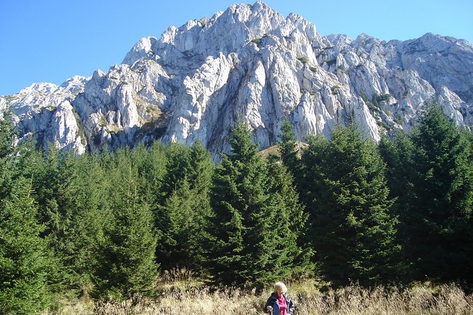 Day Hike in Carpathian Mountains for all levels in five areas - Meeting your guide in Brasov’s old town