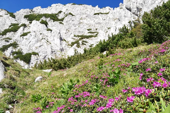 Day Hike PRIVATE - Piatra Craiului National Park - Walking through Zarnesti Canyon