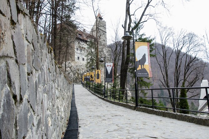 Day Trip Bear Sanctuary, Bran Castle, Rasnov Fortress from Brasov - Libearty Bear Sanctuary: the day’s most meaningful stop