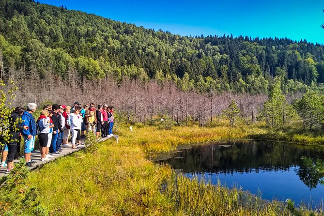 Day Trip & Bear Watching in the Land of Volcanoes - Starting from central Brasov at 9 a.m.