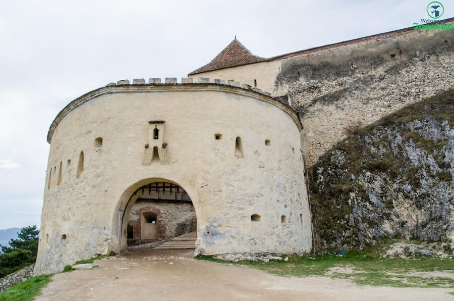 Day trip Bran Castle, Rasnov Fortress and Bear Sanctuary - Should you book this tour?