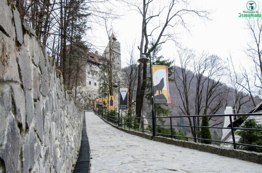 Day trip Bran Castle, Rasnov Fortress and Bear Sanctuary - Why this route works from Brasov