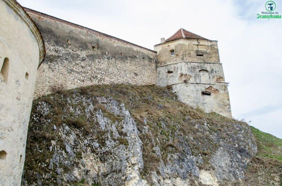 Day trip Bran Castle, Rasnov Fortress and Bear Sanctuary - Who will enjoy this six-hour outing
