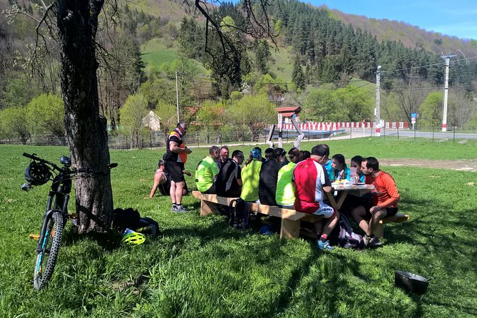 Day trip from Brasov: Bison reserve & traditional lunch - What the $218.84 price really buys you