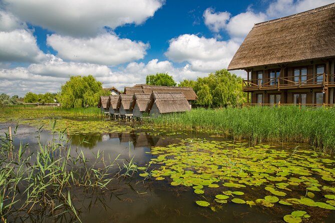 Day Trip from Bucharest to Danube Delta - The road transfer: roughly seven to eight hours total