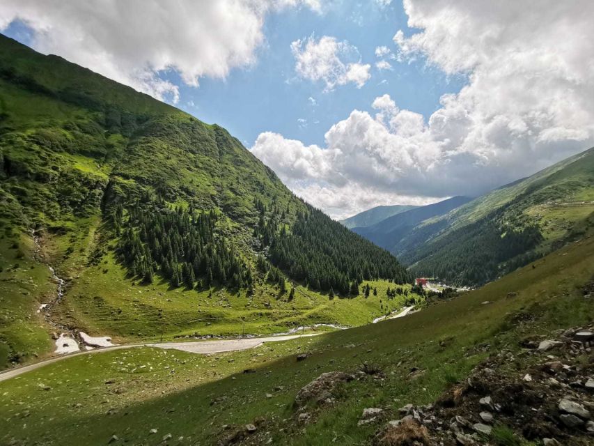 Day Trip to Transfagarasan - Brown bears can add a remarkable roadside moment