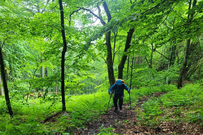 Discover Apuseni Mountains - Scarita Summit,Sipote Waterfall and Dumesti Village - Reaching the ridge and 1,384-meter Scarita Summit