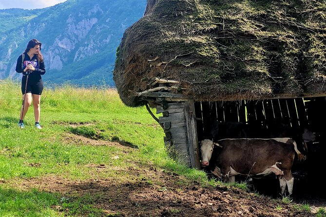 Discover Apuseni Mountains - Scarita Summit,Sipote Waterfall and Dumesti Village - Food, group size, and what to bring