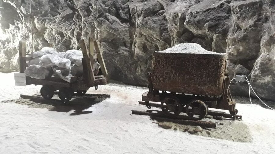 Discover Europe's Deepest Mines & Peles Castle's Royal Charm - The private car, guide, and pace