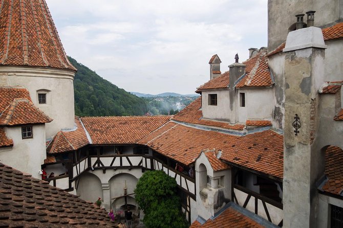 Dracula and Peles Castles Premium Tour with Hotel pick-up - Is $132.75 good value?