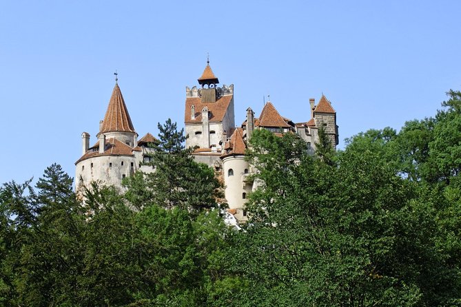 Dracula Castle, Peles Castle and Rasnov Fortress from Brasov - Rasnov Citadel for the wide view