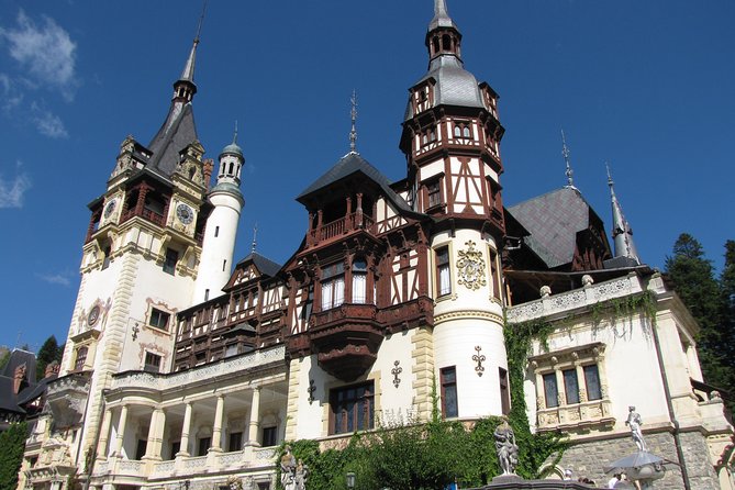 DRACULA CITY BREAK Bran Castle, Peles Castle Sinaia, Brasov City - Day three: shared airport transfer and the bear sanctuary option
