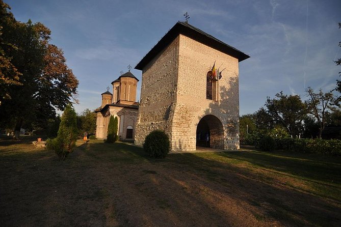 Dracula's Tomb and Mogosoaia Palace, Private Tour from Bucharest - Timing, pickup, and the private-tour advantage